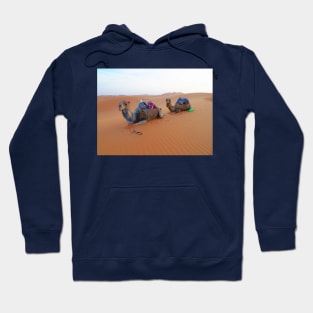 Saharan camels, nature travel photography Hoodie